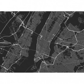 Plan de Paris Monochrome