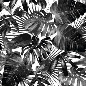 Feuilles Tropicales Noir & Blanc