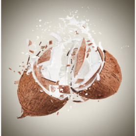 Explosion Noix de Coco