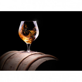 Verre de Cognac sur Tonneau