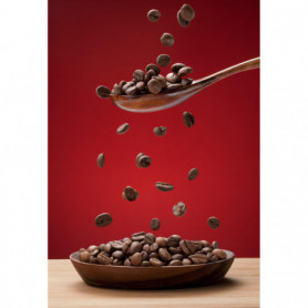 Cuillère & Grains de Café