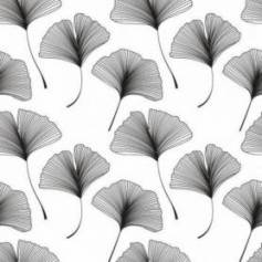 Ginkgo Graphic