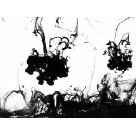 Encre noire