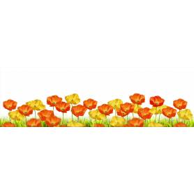 Coquelicots oranges