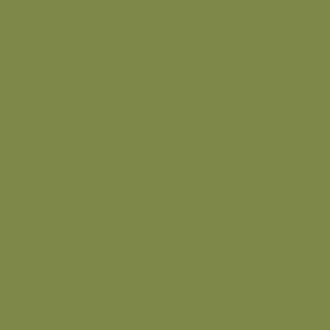 Bâche PVC 1,5 mm Vert olive en 8 m x 6 m 